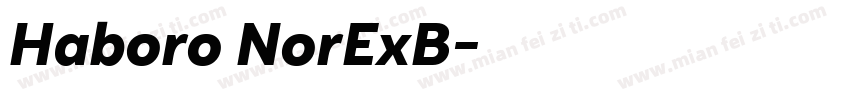 Haboro NorExB字体转换